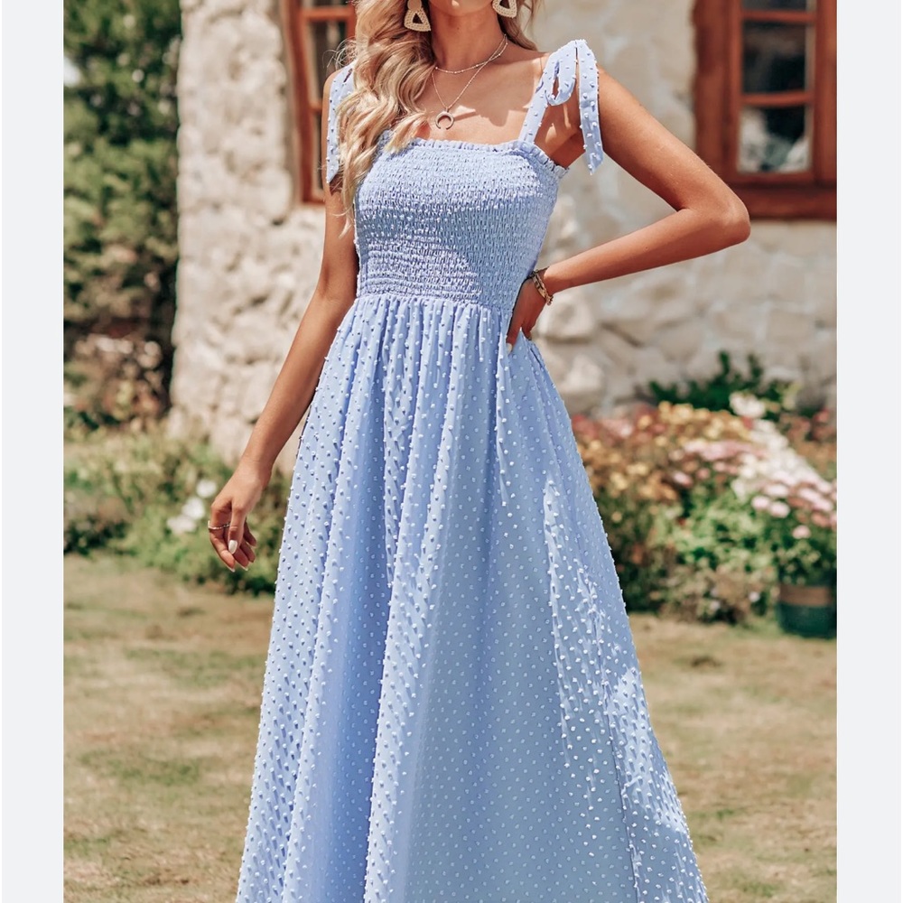 NWOT Pretty Garden Sky Blue Large midi swing dress